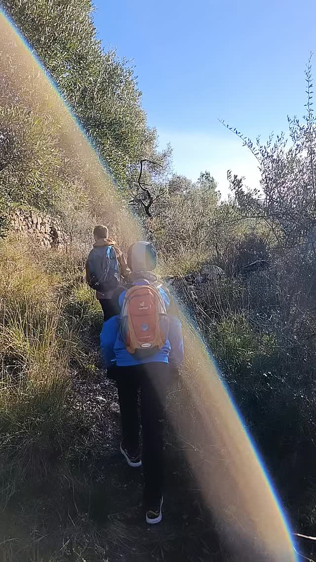 Primer dia d'aventura 360° del Nadal 🎄 

Avui hem fet 6kms de ruta per l'entorn natural de la Sénia, corrent, caminant i xalant!

Demà més!