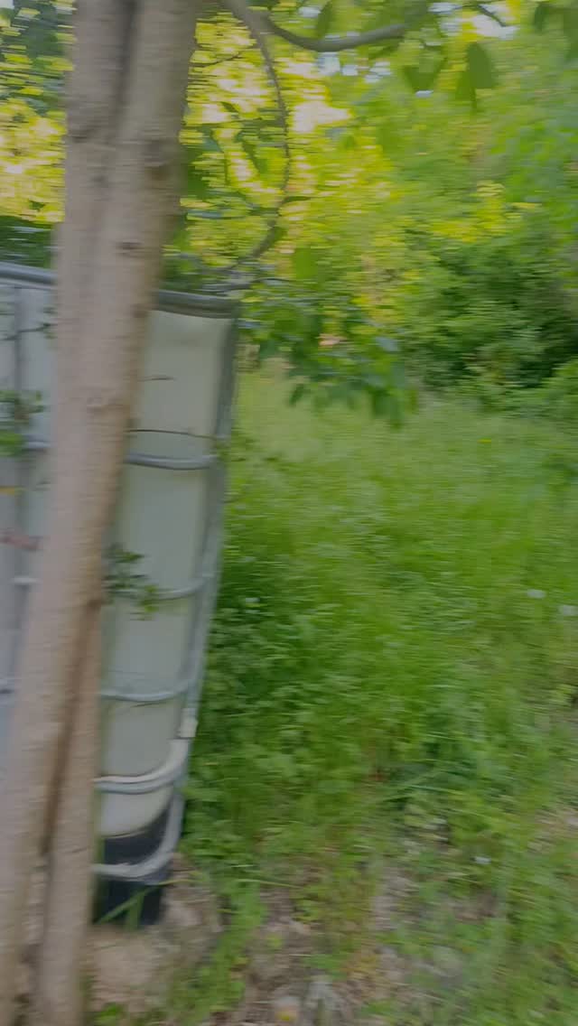 Primera activitat del Cicle de Sortides a la Natura de @escolamariajesusortiabella 🌲🏞️.

Avui hem iniciat les sortides per als alumnes de primària de l'escola per a donar a conèixer el nostre entorn natural, avui ha tocat la primera part del camí fluvial del Riu Sénia, de la Peixera fins al Toll del Panxó. Hem descobert fauna, flora, geologia i moltes coses més! 

Ara ens trobem el proper dia 2 de maig per a fer la part sud, de la Peixera al Molí l'Abella. 
--

(Recordeu que fins 4t de primària és indispensable un adult responsable per grup de nens, els més grans necessari autorització materna/paterna per vindre sols)

--
#ElPetitBoix #escoladenatura #educacióambiental #escolademuntanya