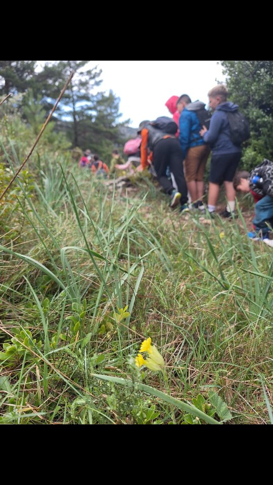 Primeres colònies de primavera superades! 🌿

Aquesta setmana hem tingut la sort de gaudir d’unes colònies escolars en un entorn espectacular com el @pnports 🌲🌳.

Hem compartit aquests dies amb els amics de l’Escola Sant Salvador de Godall, i volem agrair-los sincerament la confiança i la implicació en tot moment. També, un agraïment especial a l’equip del @refugiuecelsportscaro per la seua atenció i predisposició constant.

I, sobretot, gràcies als menuts i menudes per vindre a gaudir de la natura, els jocs, l’aventura i el companyerisme que fan úniques unes colònies de muntanya.

Fins la propera! 💚

#ElPetitBoix #escoladenatura #escolademuntanya #pnports #colòniesescolars