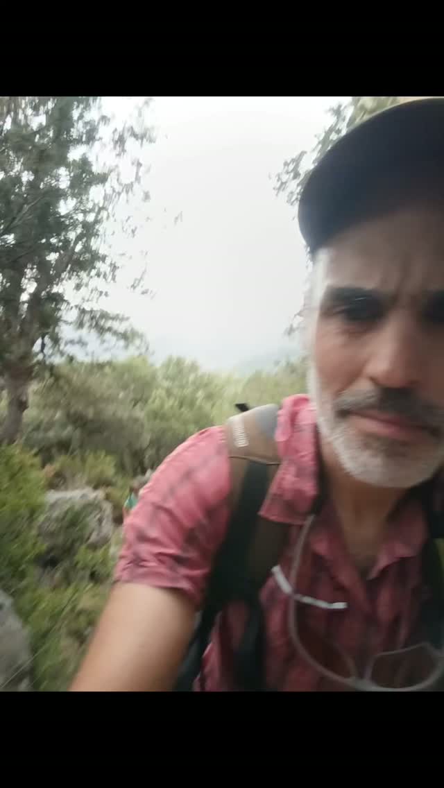 3r dia de les Colònies del Petit Boix al Parc Natural de la Tinença de Benifassà! Ahir vam seguir practicant escalada, vam anar a la piscina i vam fer jocs. Per tancar el dia documental del mestre @kilianjornet ❤️.

Avui toca senderisme, anem d'excursió!