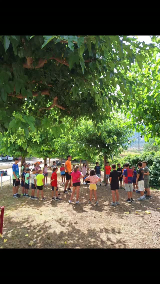 1r dia superat ☺️

Avui ens hem conegut, hem jugat i ens hem cansat corrent pel Parc Natural de la Tinença de Benifassà 😍.

Ara, després d'un bon sopar, ens relaxem amb jocs de taula. A descansar en un ratet i a pel proper dia!